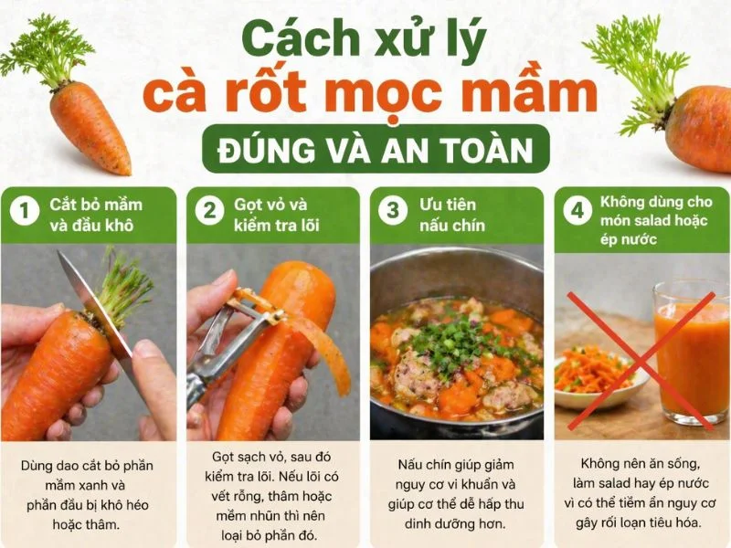 Cà rốt để lâu mọc mầm Ăn hay bỏ tốt hơn-3.webp