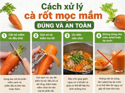 Cà rốt để lâu mọc mầm Ăn hay bỏ tốt hơn-3.webp