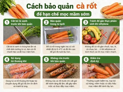 Cà rốt để lâu mọc mầm Ăn hay bỏ tốt hơn-4.webp